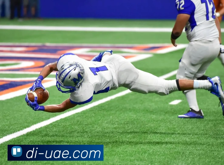 安博在线登录平台生态图