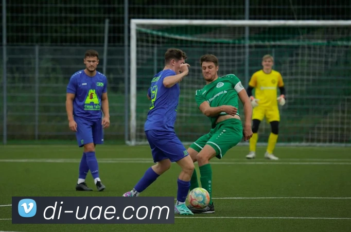 安博在线登录APP 封面图